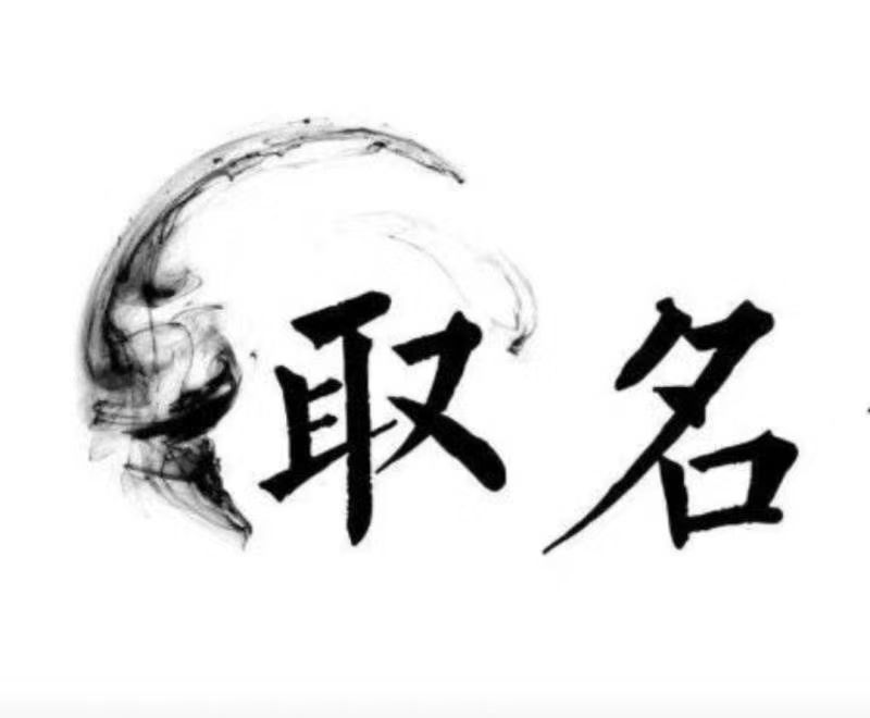  随州宝宝取名 大师一对一人工起名